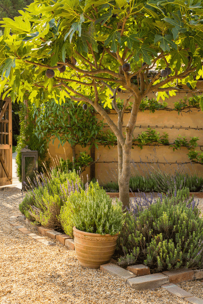 Itchy Rash After Gardening? These 13 Common Phototoxic Plants Could Be the Cause 7