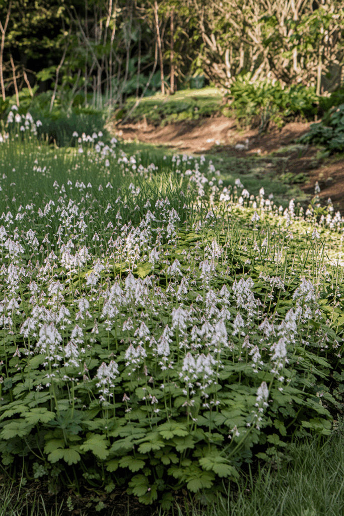 15 Beautiful Ground Covers That Outcompete Weeds Without Chemicals or Constant Upkeep 12