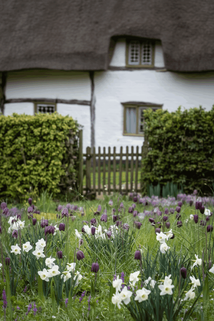 15 Striking Spring Bulbs to Plant This Fall for Flowers You’ve Never Seen Before 5