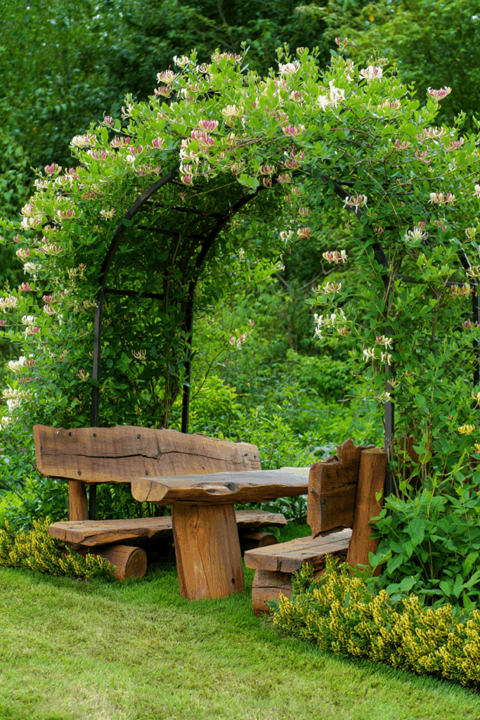 10 Plants You’ll Be Glad You Pruned in September – Don’t Wait Until It’s Too Late 6