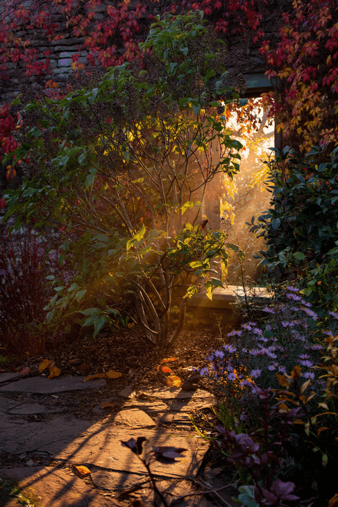 9 Popular Shrubs You Shouldn’t Prune in Fall (and the Best Time to Do It) 2