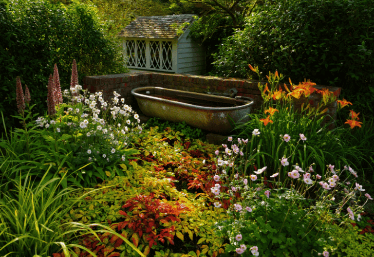 Native Alternatives to Popular But Invasive Plants Growing in Your Garden