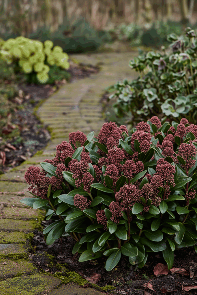 Itchy Rash After Gardening? These 13 Common Phototoxic Plants Could Be the Cause 10