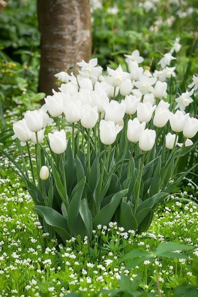 17 Perennials You Should Divide and Replant in September for Bigger, Healthier Blooms Next Year 15