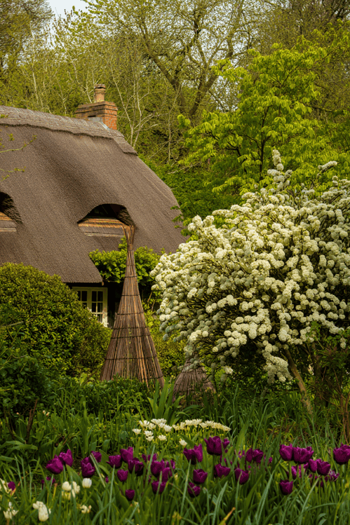 9 Popular Shrubs You Shouldn’t Prune in Fall (and the Best Time to Do It) 5