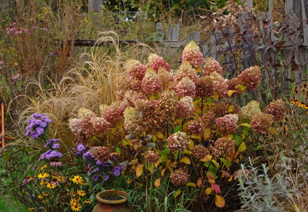 ​make everything look real and natural and as they should looks as per season