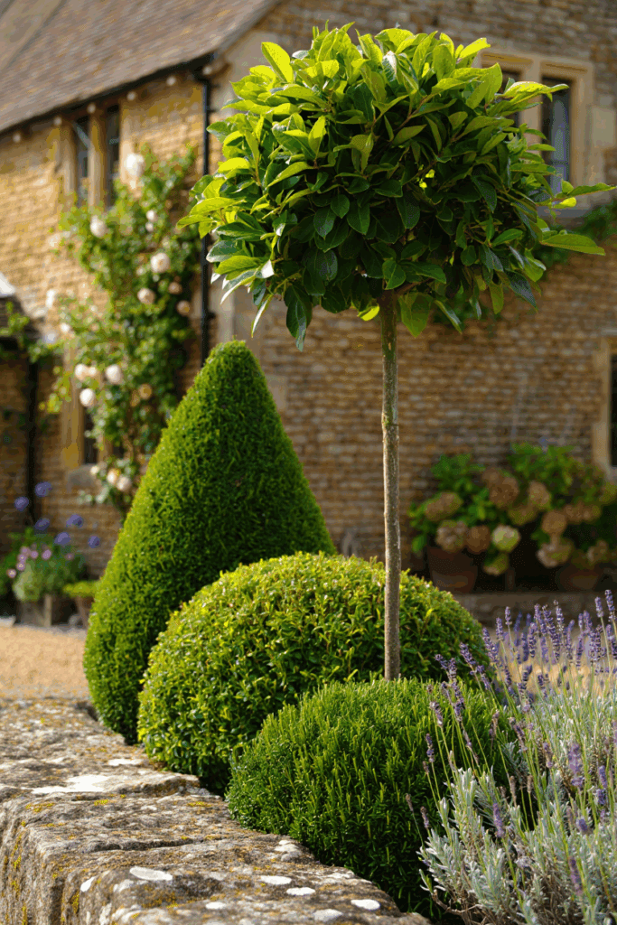 10 Plants You’ll Be Glad You Pruned in September – Don’t Wait Until It’s Too Late 8