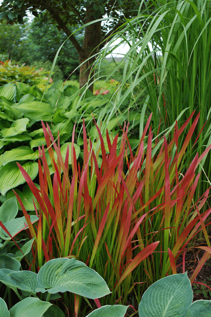 These Invasive Ground Covers Turned Into a Gardening Headache – 8 I’ll Never Plant Again (and What I Recommend Instead) 6