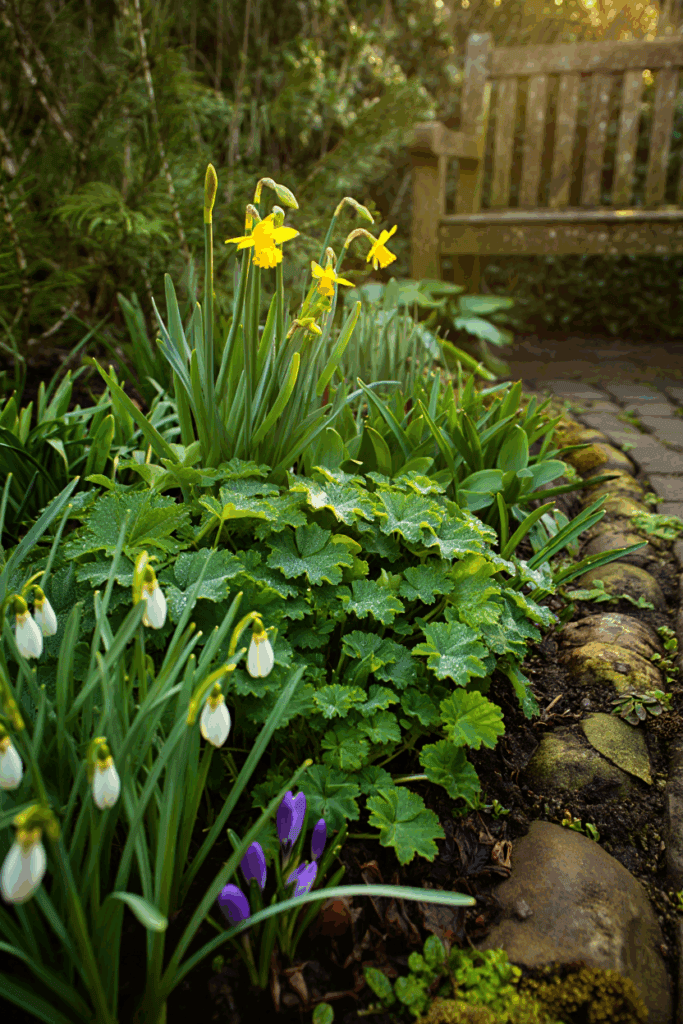 15 Slug Proof Shade Perennials That Won’t Get Munched by Molluscs 6 15 Slug Proof Shade Perennials That Won’t Get Munched by Molluscs 5
