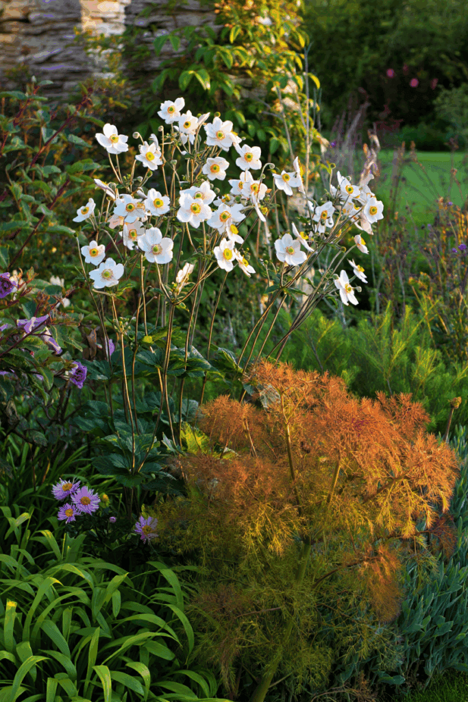 15 Slug Proof Shade Perennials That Won’t Get Munched by Molluscs 11 15 Slug Proof Shade Perennials That Won’t Get Munched by Molluscs 10
