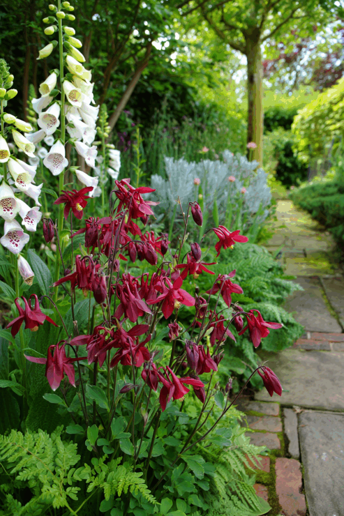 15 Slug Proof Shade Perennials That Won’t Get Munched by Molluscs 8 15 Slug Proof Shade Perennials That Won’t Get Munched by Molluscs 7