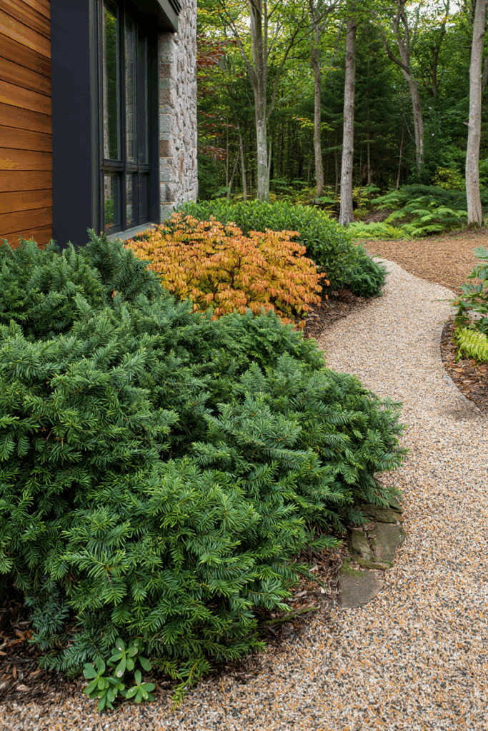 Boxwood Blight Has Put 95% of U.S. Shrubs at Risk — These 10 Native Alternatives Are Safer, Stronger, and Way More Beautiful 4