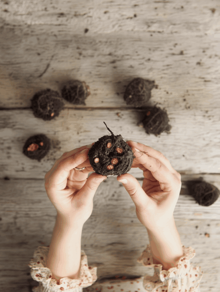 Don’t Throw Out Those Begonia Tubers Yet — This Old-Fashioned Overwintering Trick Keeps Them Alive Through Winter and and Gives You a Head Start Next Year 5 Don’t Throw Out Those Begonia Tubers Yet — This Old-Fashioned Overwintering Trick Keeps Them Alive Through Winter and and Gives You a Head Start Next Year 5