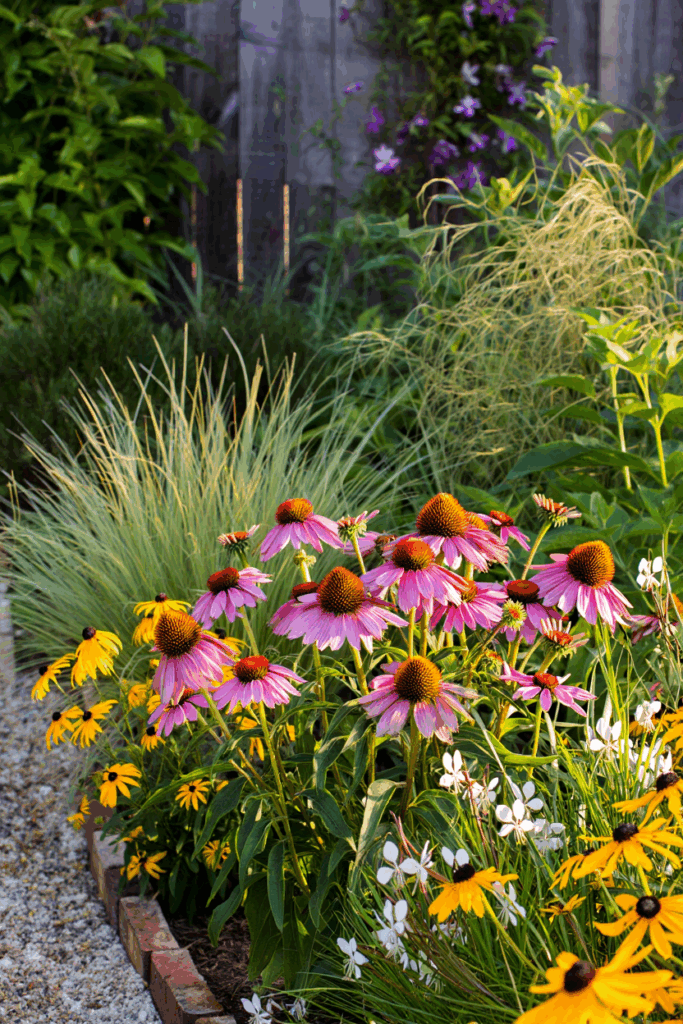 12 So-Called Drought-Tolerant Plants That Still Need Frequent Watering — and Better Native Replacements 12 12 So-Called Drought-Tolerant Plants That Still Need Frequent Watering — and Better Native Replacements 11