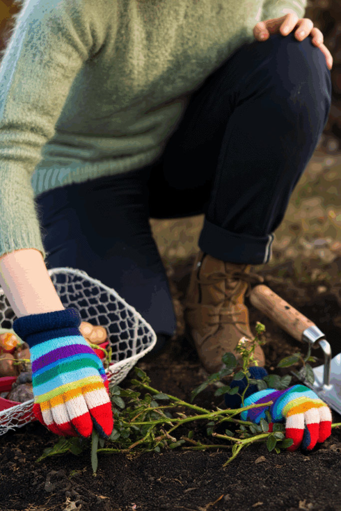 These 6 Clever Tricks Will Stop Squirrels From Digging Up Your Spring Bulbs for Good 6 These 6 Clever Tricks Will Stop Squirrels From Digging Up Your Spring Bulbs for Good 5