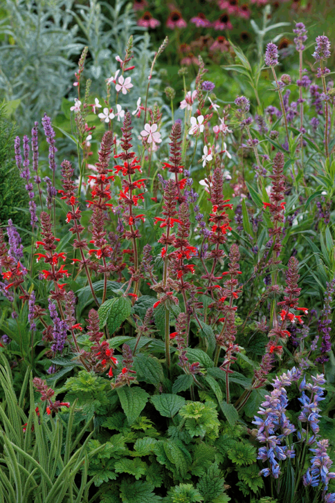 10 Common “Deer-Resistant” Perennials Taking Over U.S. Gardens — and the Native Alternatives to Grow Instead 8