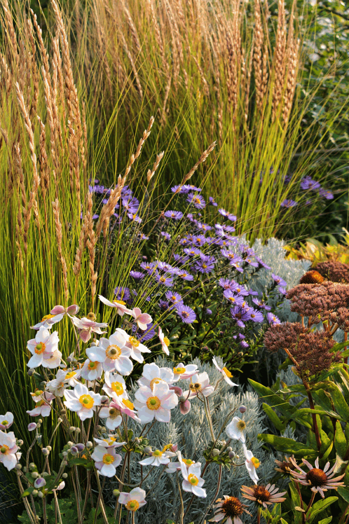 10 Common “Deer-Resistant” Perennials Taking Over U.S. Gardens — and the Native Alternatives to Grow Instead 1