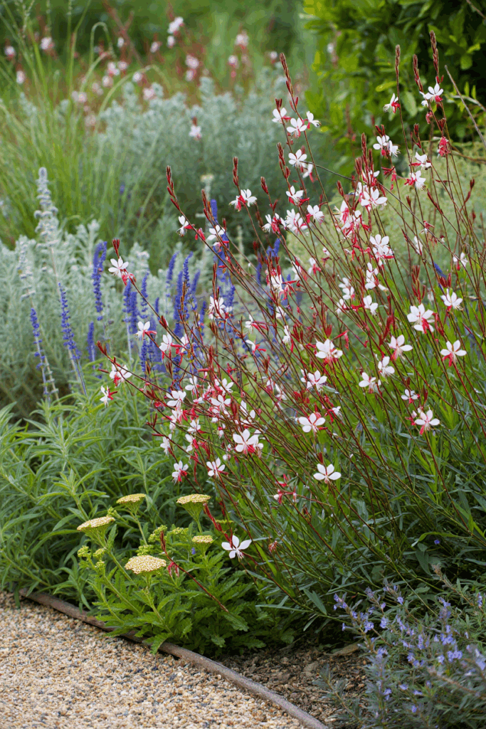 12 So-Called Drought-Tolerant Plants That Still Need Frequent Watering — and Better Native Replacements 4 12 So-Called Drought-Tolerant Plants That Still Need Frequent Watering — and Better Native Replacements 3