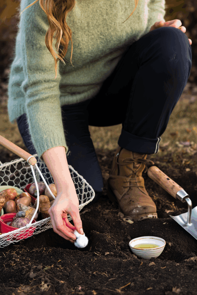 These 6 Clever Tricks Will Stop Squirrels From Digging Up Your Spring Bulbs for Good 8 These 6 Clever Tricks Will Stop Squirrels From Digging Up Your Spring Bulbs for Good 7