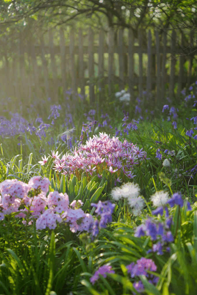 12 Native Flowers to Plant Now to Feed Pollinators When Early Spring Brings a ‘Hungry Gap’ 9