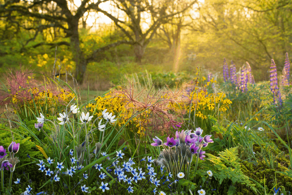 12 Native Flowers to Plant Now to Feed Pollinators When Early Spring Brings a ‘Hungry Gap’ 2