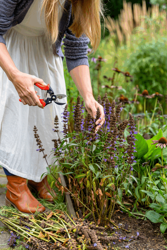 12 Perennials and Shrubs to Prune in October for Their Best Blooms Next Year 11