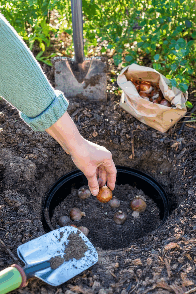 These 6 Clever Tricks Will Stop Squirrels From Digging Up Your Spring Bulbs for Good 10 These 6 Clever Tricks Will Stop Squirrels From Digging Up Your Spring Bulbs for Good 9