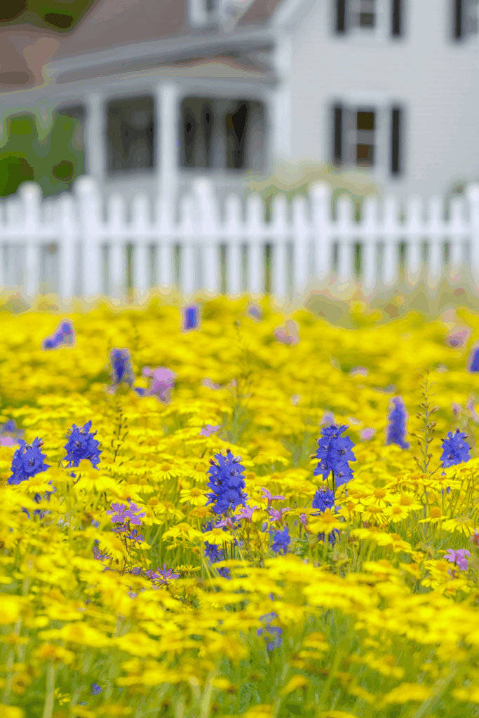 10 Common “Deer-Resistant” Perennials Taking Over U.S. Gardens — and the Native Alternatives to Grow Instead 16