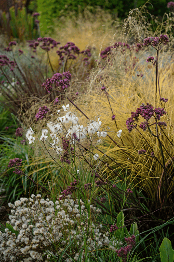 11 Common Garden Flowers to Pull This Fall — Their Seed Heads Feed Rats in Winter, Not the Birds You’re Trying to Help 12 11 Common Garden Flowers to Pull This Fall — Their Seed Heads Feed Rats in Winter, Not the Birds You’re Trying to Help 10