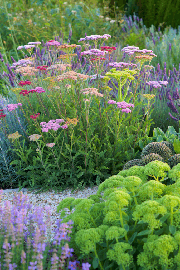 10 Common “Deer-Resistant” Perennials Taking Over U.S. Gardens — and the Native Alternatives to Grow Instead 13