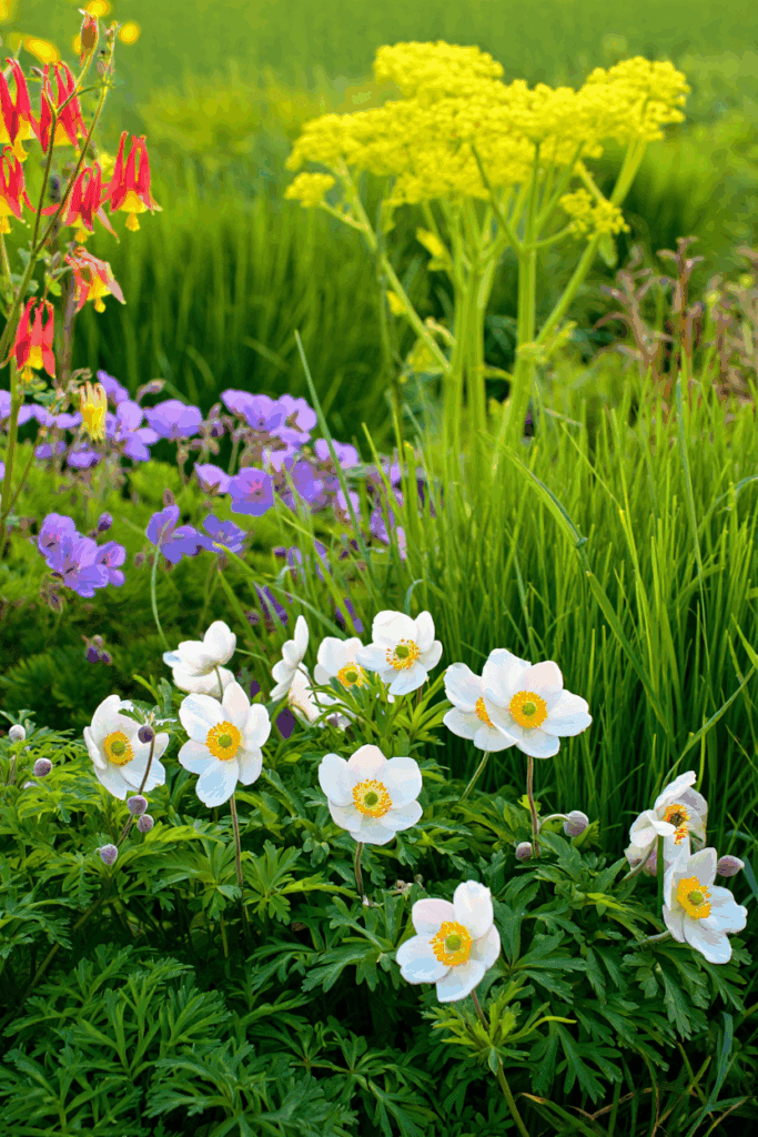 10 Common “Deer-Resistant” Perennials Taking Over U.S. Gardens — and the Native Alternatives to Grow Instead 20