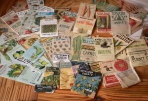 Best Heirloom Seed Companies Every Gardener Should Know