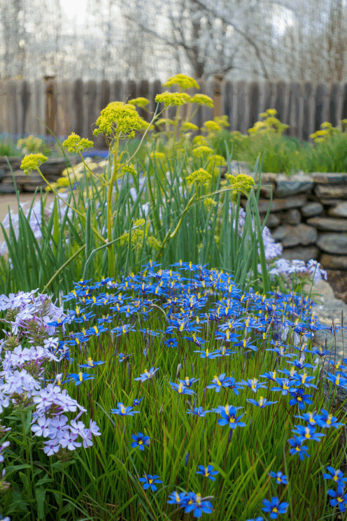 12 Native Flowers to Plant Now to Feed Pollinators When Early Spring Brings a ‘Hungry Gap’ 11