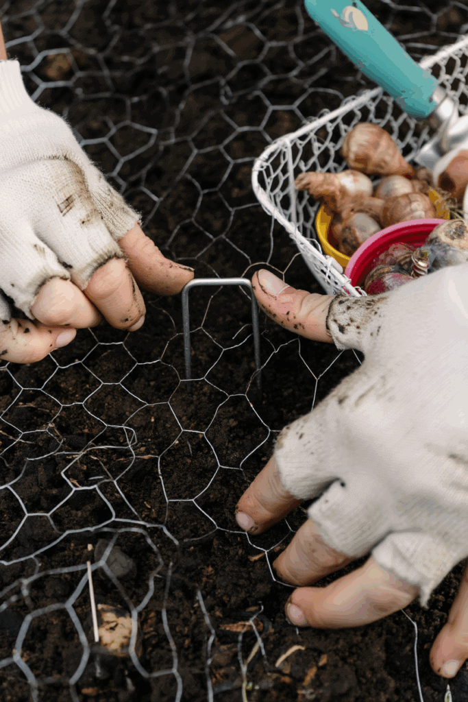 These 6 Clever Tricks Will Stop Squirrels From Digging Up Your Spring Bulbs for Good 9 These 6 Clever Tricks Will Stop Squirrels From Digging Up Your Spring Bulbs for Good 8