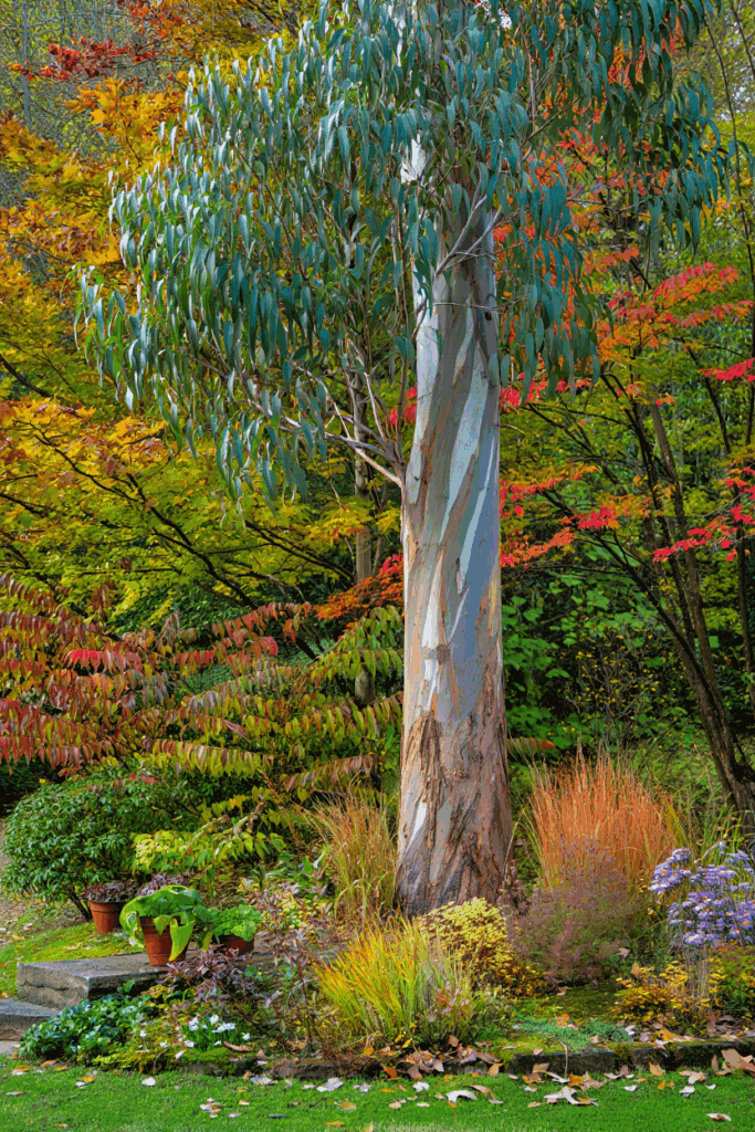 9 Trees That Drop Toxic or Problematic Leaves in Fall—and Why You Shouldn’t Compost, Mulch, or Leave Them on the Ground 2
