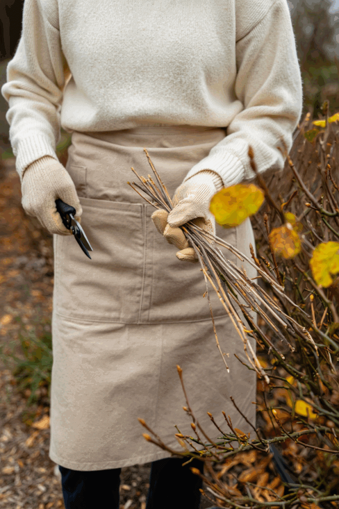 12 Plants You Can Propagate from Hardwood Cuttings This Fall for Free Plants by Spring 2 12 Plants You Can Propagate from Hardwood Cuttings This Fall for Free Plants by Spring 1