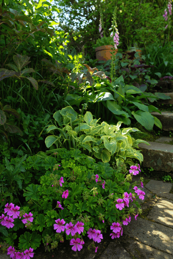 15 Slug Proof Shade Perennials That Won’t Get Munched by Molluscs 3 15 Slug Proof Shade Perennials That Won’t Get Munched by Molluscs 2