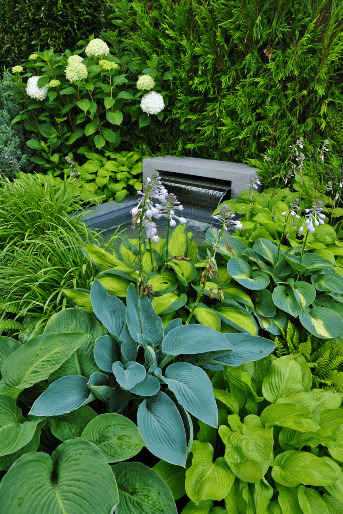 October Is the Perfect Time to Divide These 9 Perennials — Here’s How to Split and Replant for Better Flowers, and Plenty of Free Plants Next Year 12