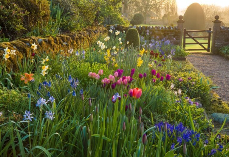 If Your Spring Flowers Die Off Too Soon, Try These 9 Bulb Combos That Bloom in Waves for 10 Full Weeks