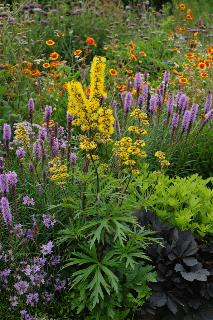 10 Common “Deer-Resistant” Perennials Taking Over U.S. Gardens — and the Native Alternatives to Grow Instead 17