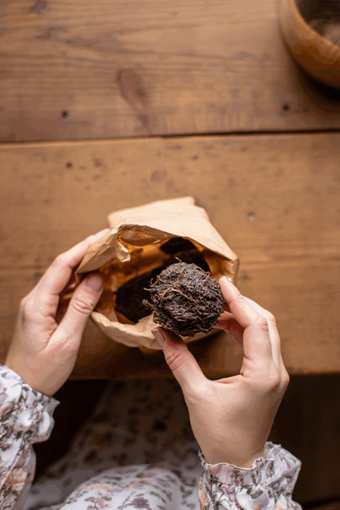 Don’t Throw Out Those Begonia Tubers Yet — This Old-Fashioned Overwintering Trick Keeps Them Alive Through Winter and and Gives You a Head Start Next Year 8 Don’t Throw Out Those Begonia Tubers Yet — This Old-Fashioned Overwintering Trick Keeps Them Alive Through Winter and and Gives You a Head Start Next Year 8