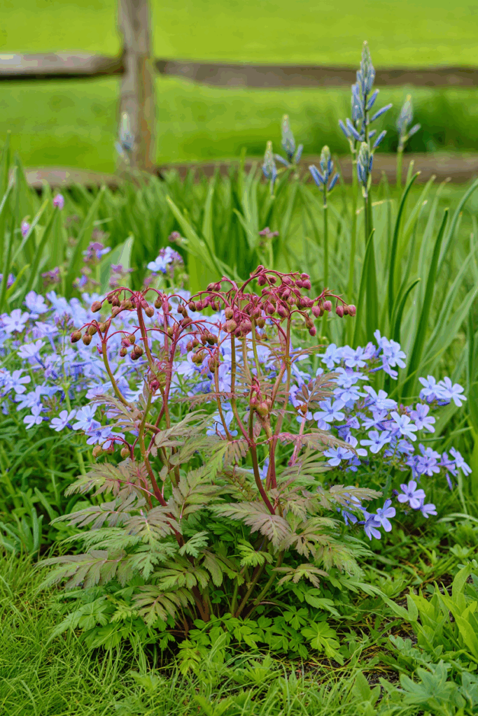 12 Native Flowers to Plant Now to Feed Pollinators When Early Spring Brings a ‘Hungry Gap’ 16