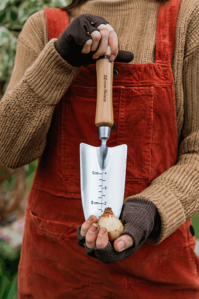 These 6 Clever Tricks Will Stop Squirrels From Digging Up Your Spring Bulbs for Good 4 These 6 Clever Tricks Will Stop Squirrels From Digging Up Your Spring Bulbs for Good 3