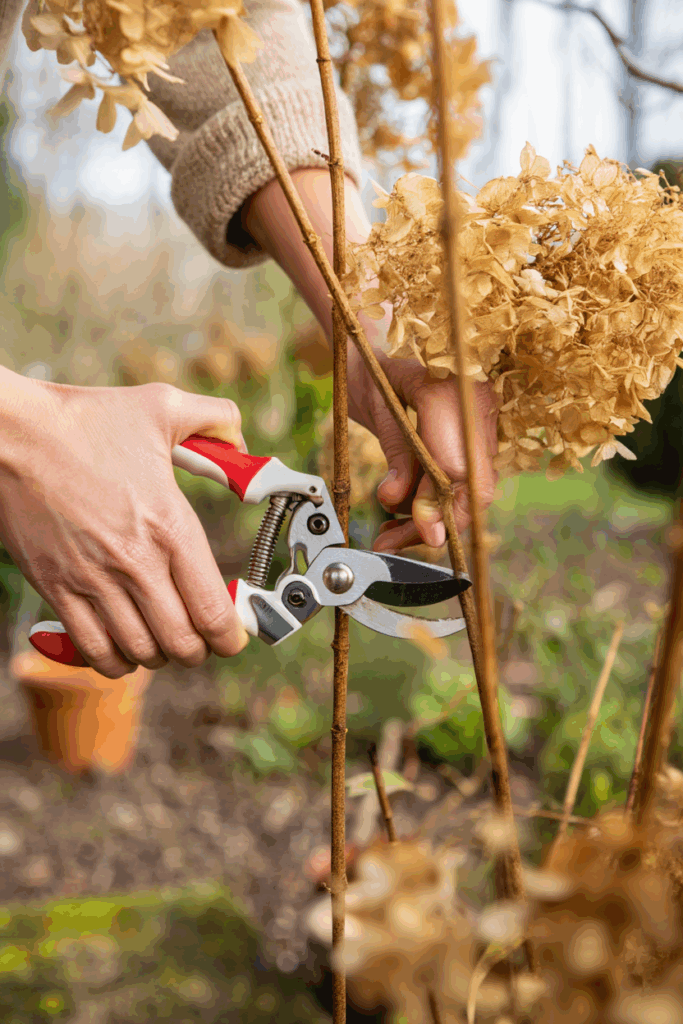 12 Plants You Can Propagate from Hardwood Cuttings This Fall for Free Plants by Spring 11 12 Plants You Can Propagate from Hardwood Cuttings This Fall for Free Plants by Spring 10