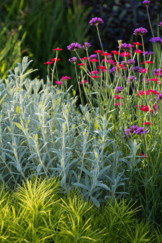 10 Common “Deer-Resistant” Perennials Taking Over U.S. Gardens — and the Native Alternatives to Grow Instead 6