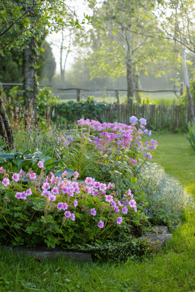 12 Native Flowers to Plant Now to Feed Pollinators When Early Spring Brings a ‘Hungry Gap’ 13