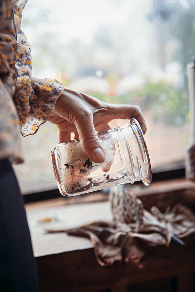 How to Harvest Milkweed Seeds, Remove the Fluff, and Grow Plants Monarchs Depend On 10