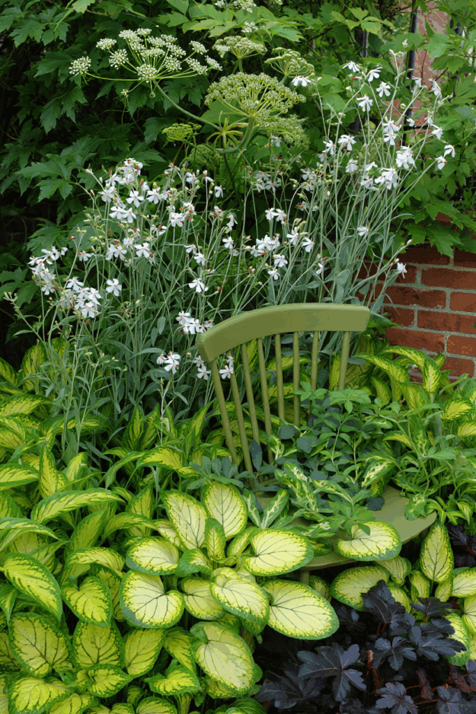 10 Common “Deer-Resistant” Perennials Taking Over U.S. Gardens — and the Native Alternatives to Grow Instead 15
