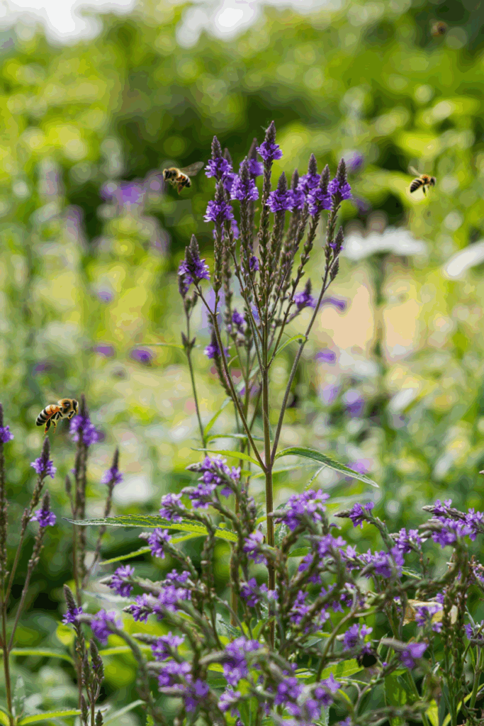 As Summer Fades, These 10 Native Flowers Keep Bees, Butterflies, and Color Alive Until Frost 8
