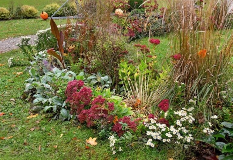 Seasonal Flower bed in the autumn garden with a variety of colorful flowers